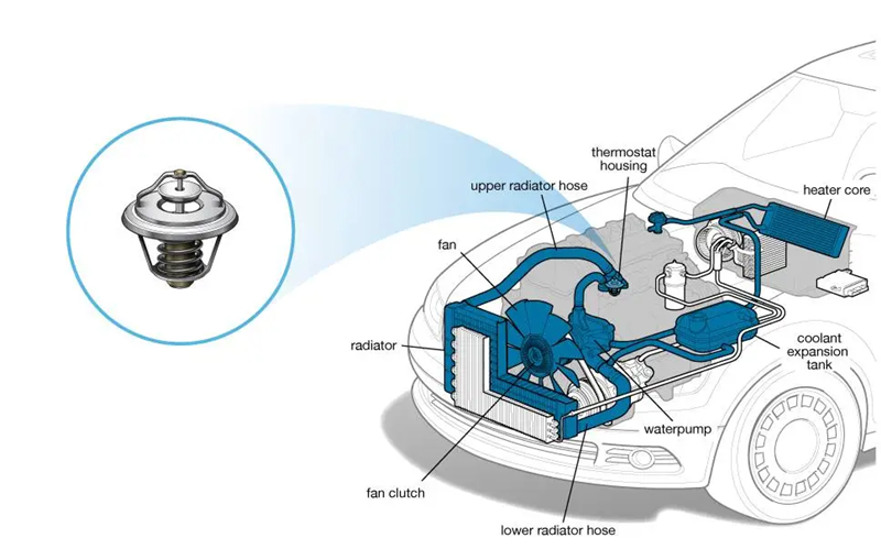 Car thermostat location