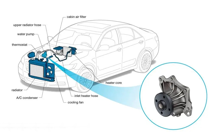 When to Change the water pump